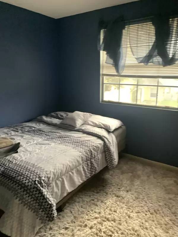 cover background