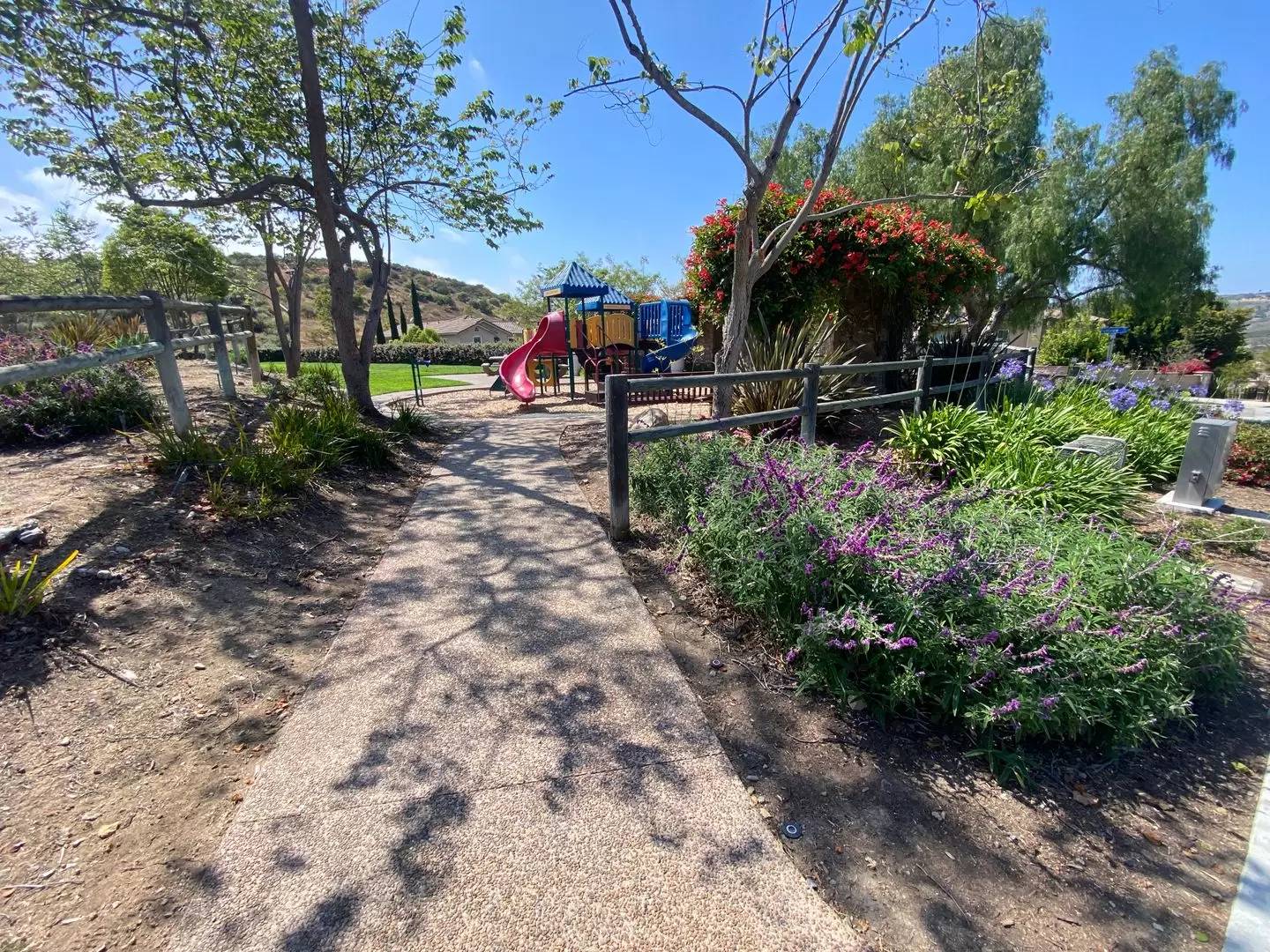 Property Image 63