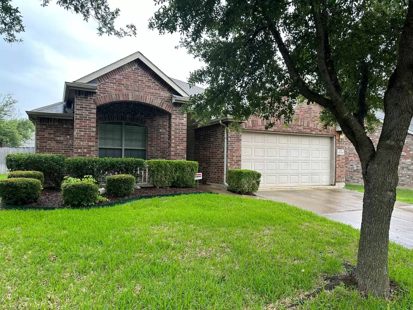 cover background