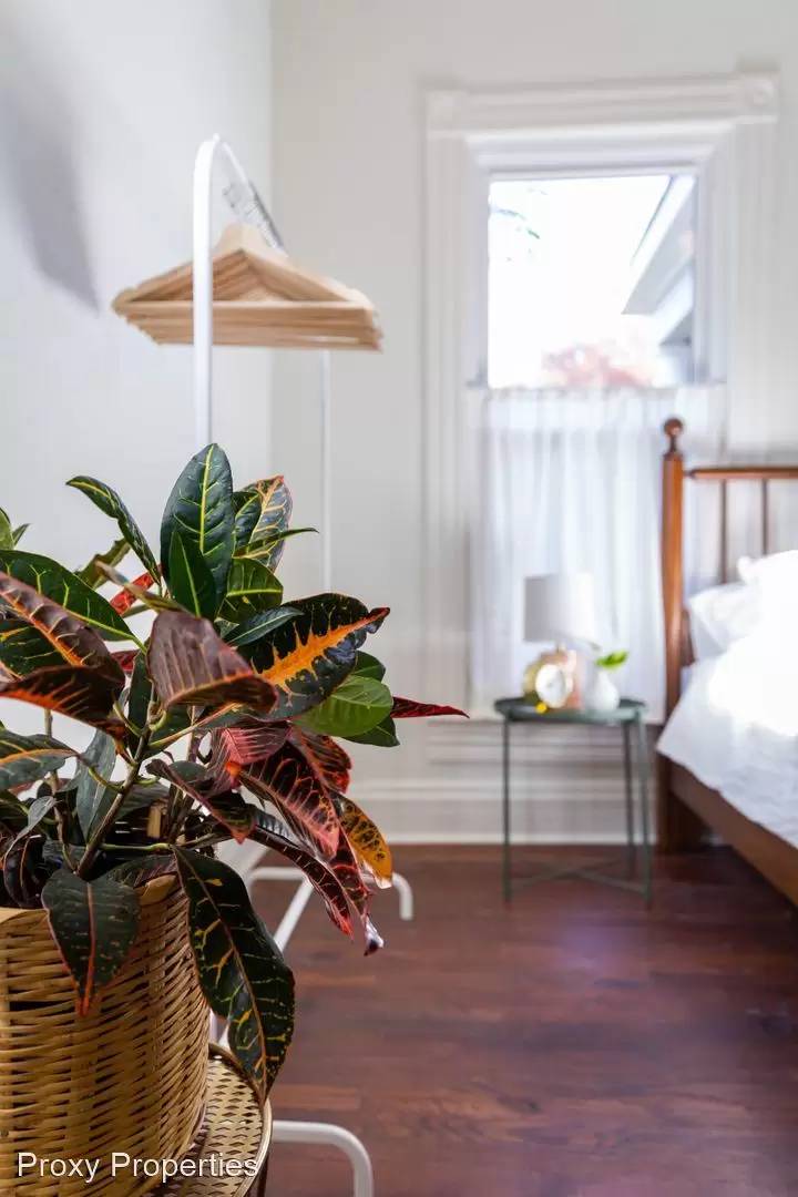 Property Image 100