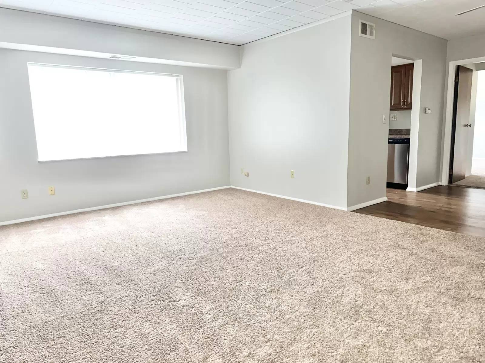 cover background