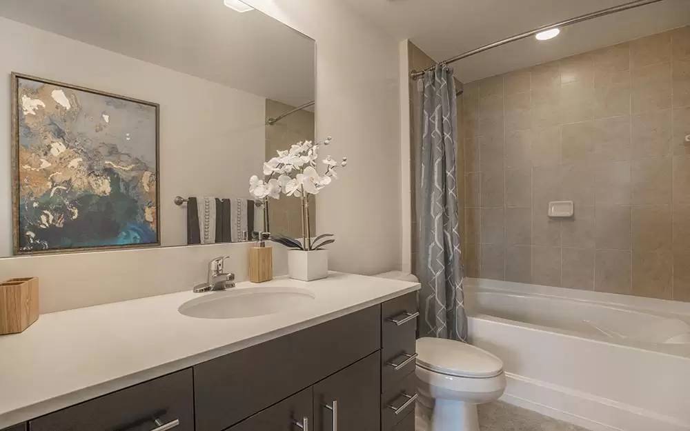 Property Image 67