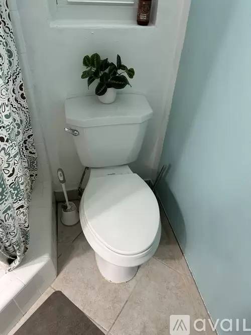 Property Image 17