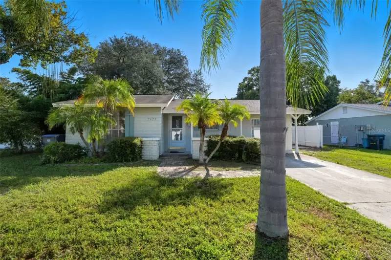 Property Image 18