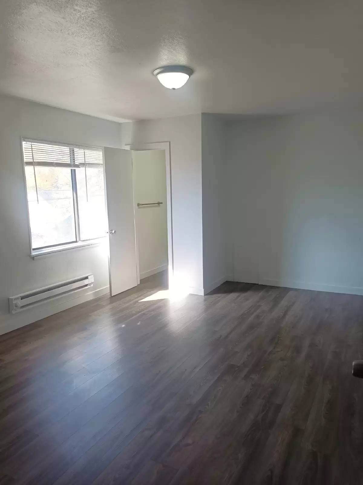 cover background