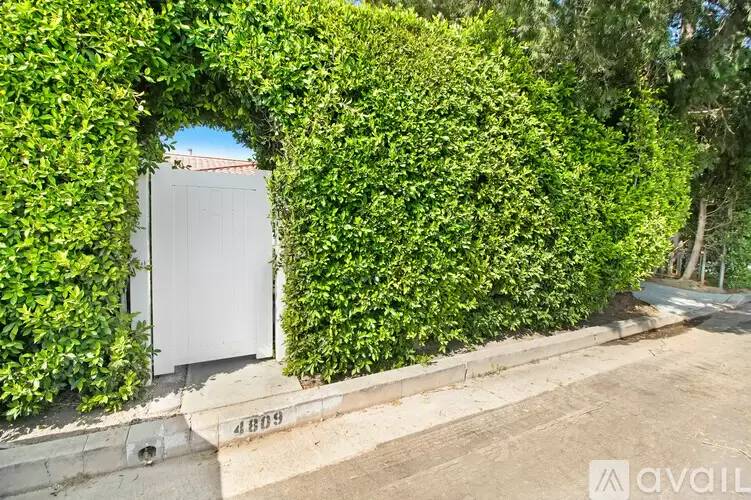 Property Image 14