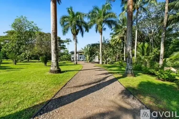 cover background