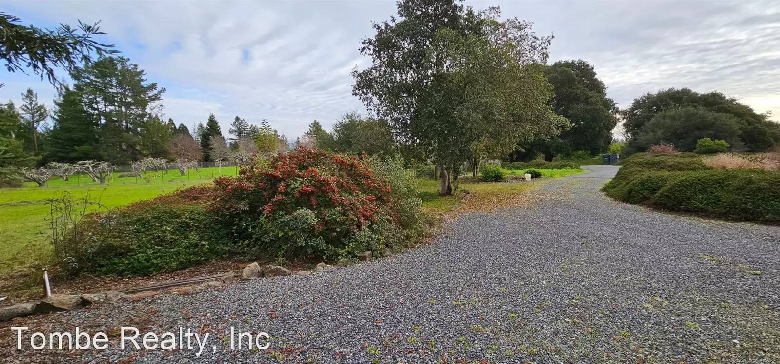 Property Image 58