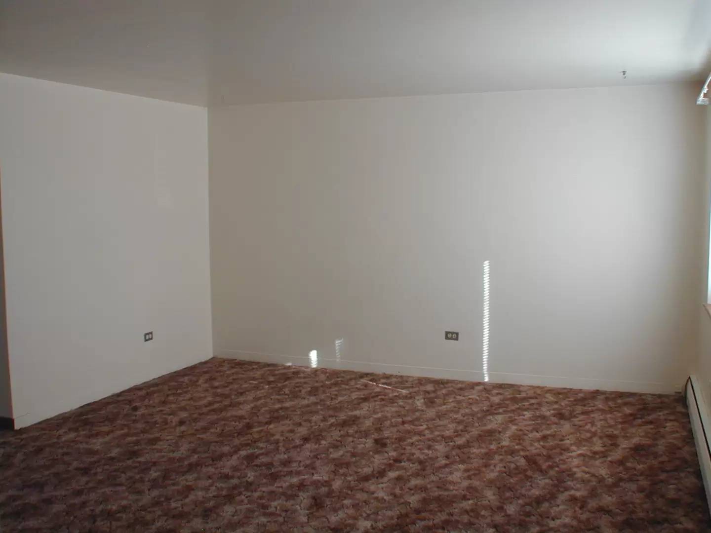 cover background