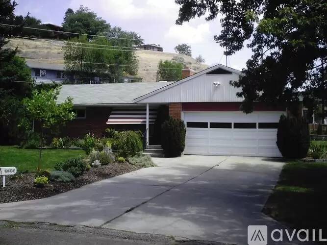 cover background
