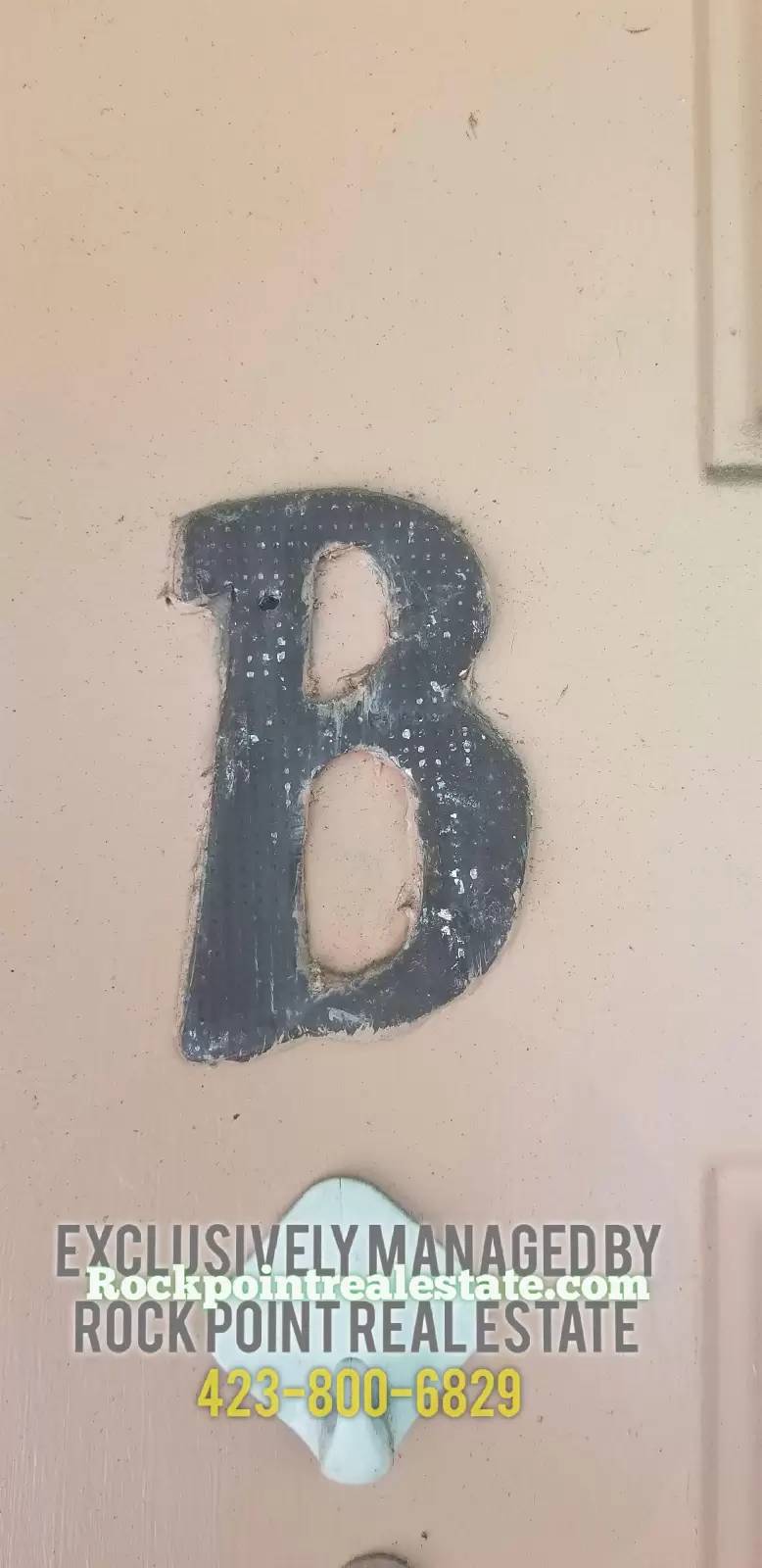 cover background