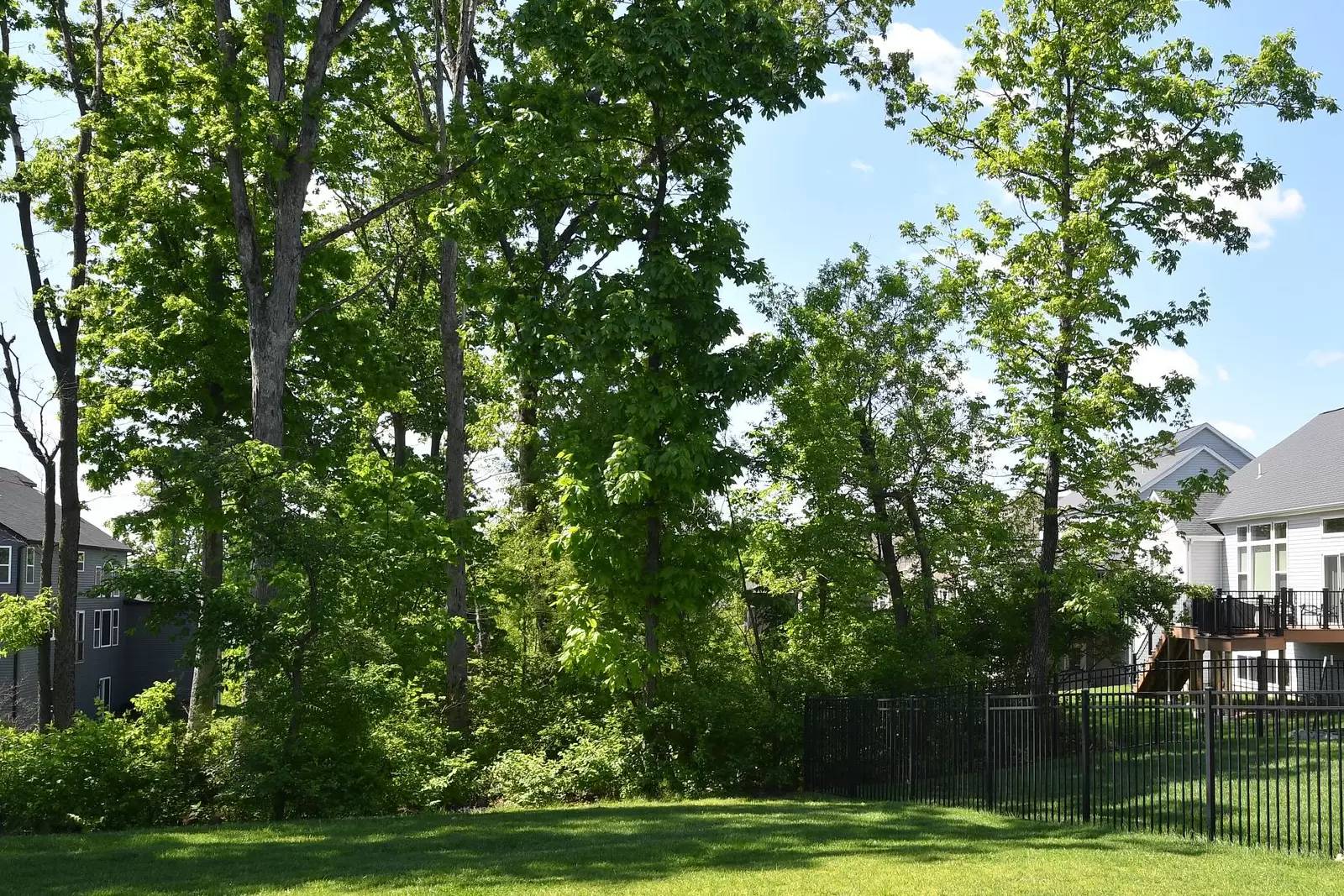 Property Image 54