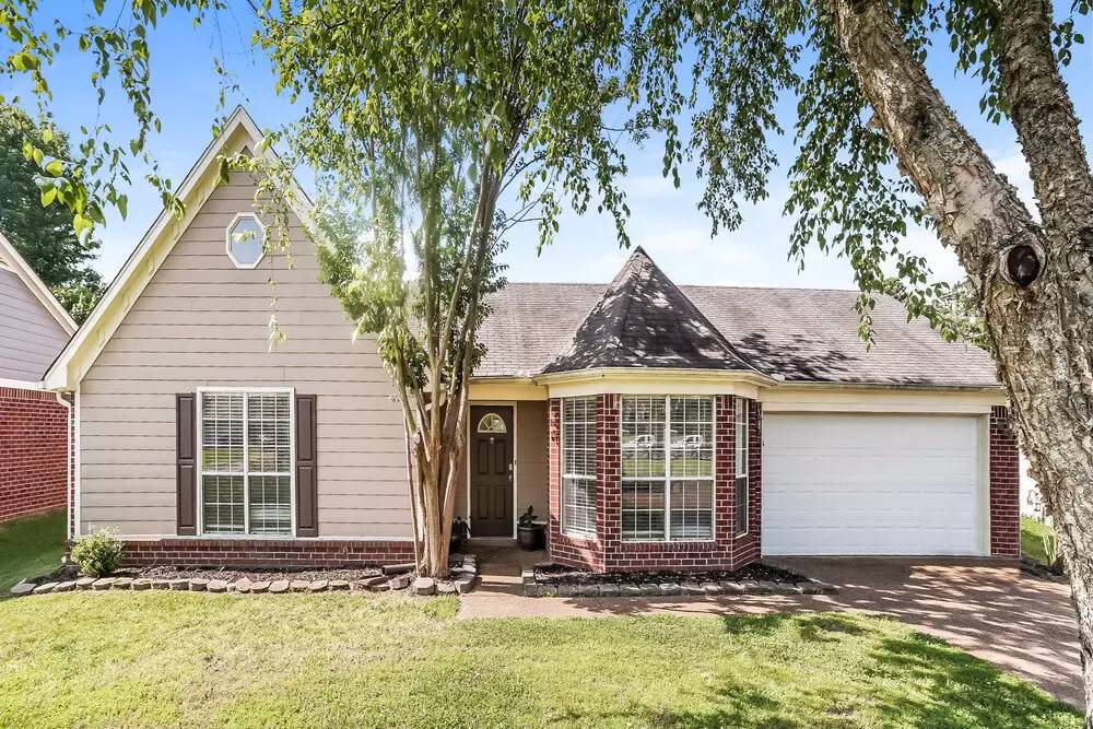 Property Image 17