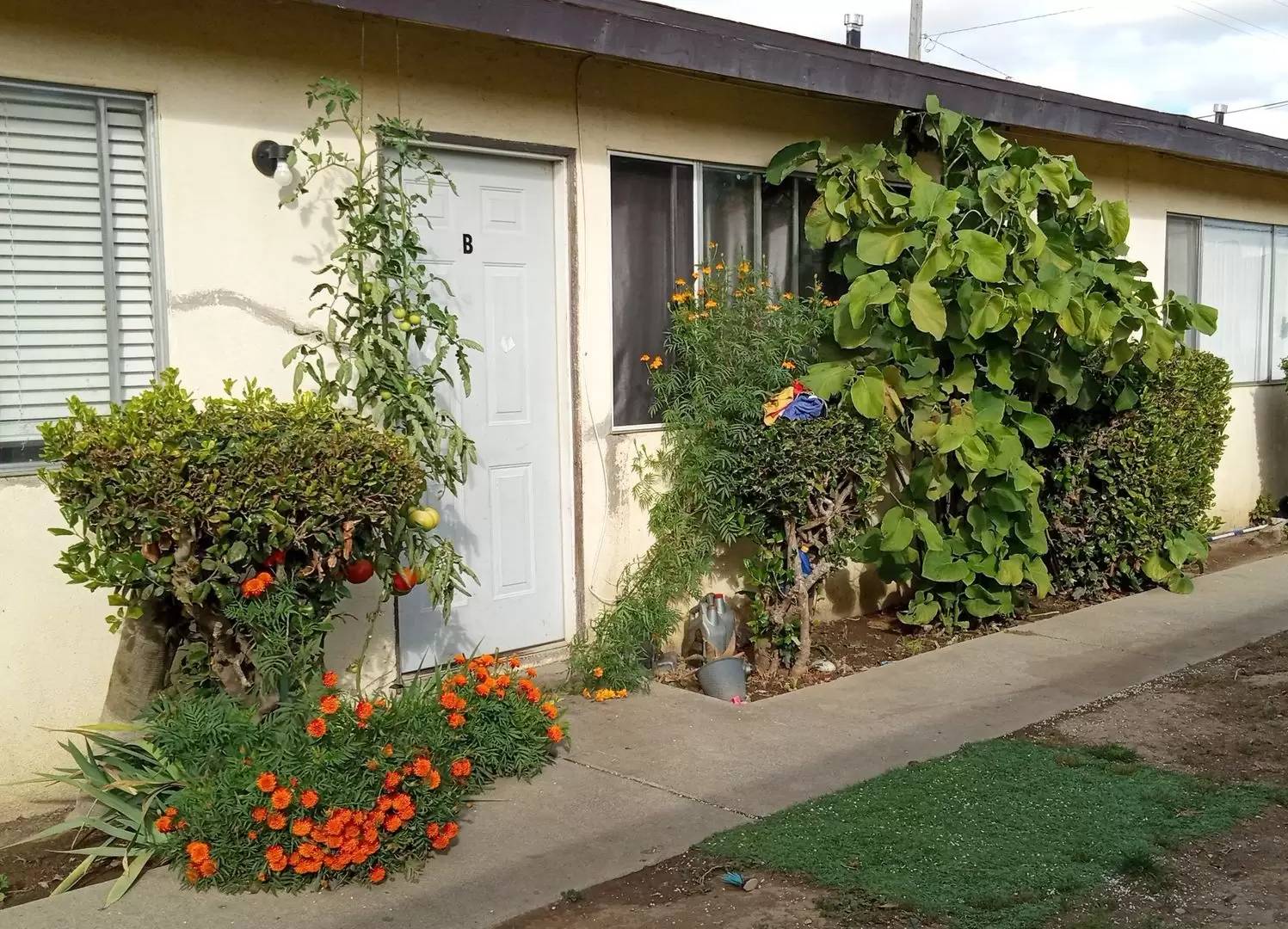 Property Image 6