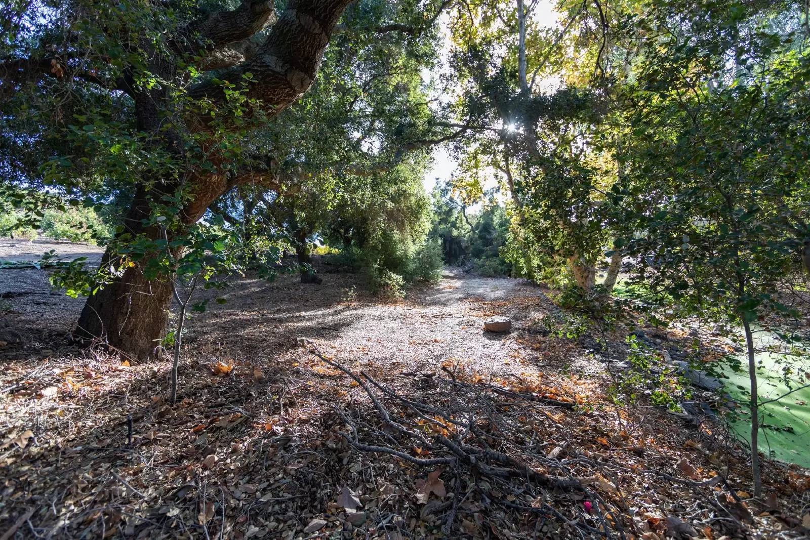 Property Image 58