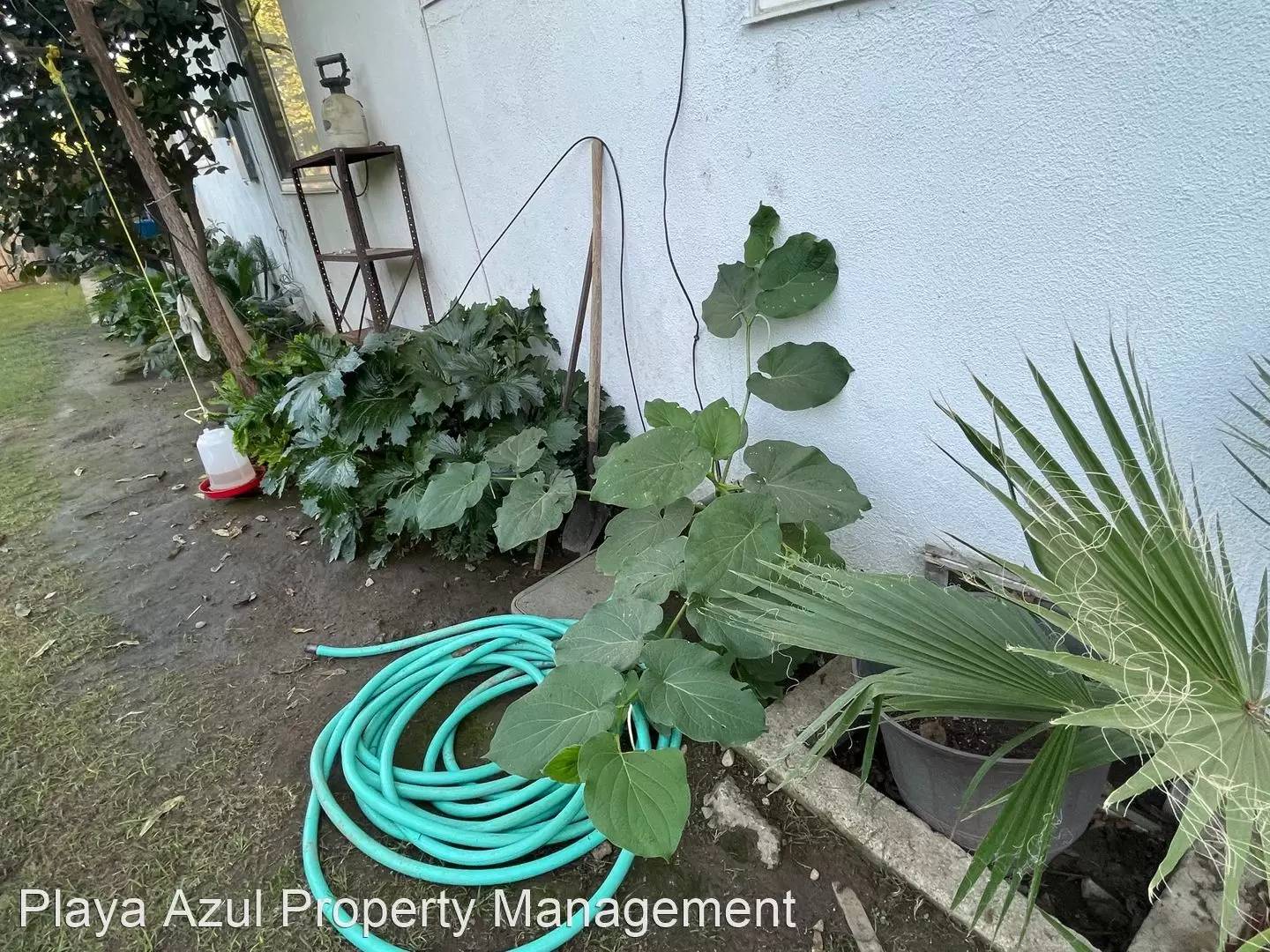 Property Image 66