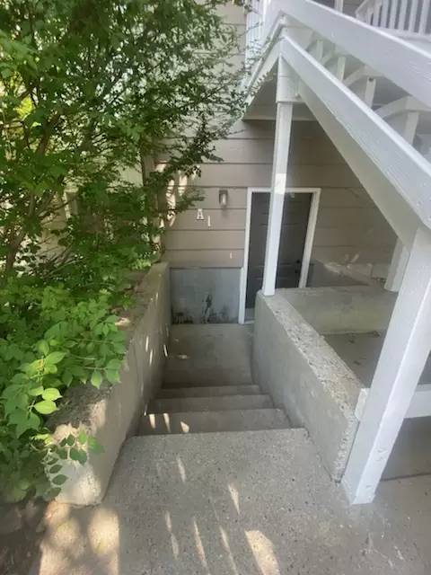 cover background