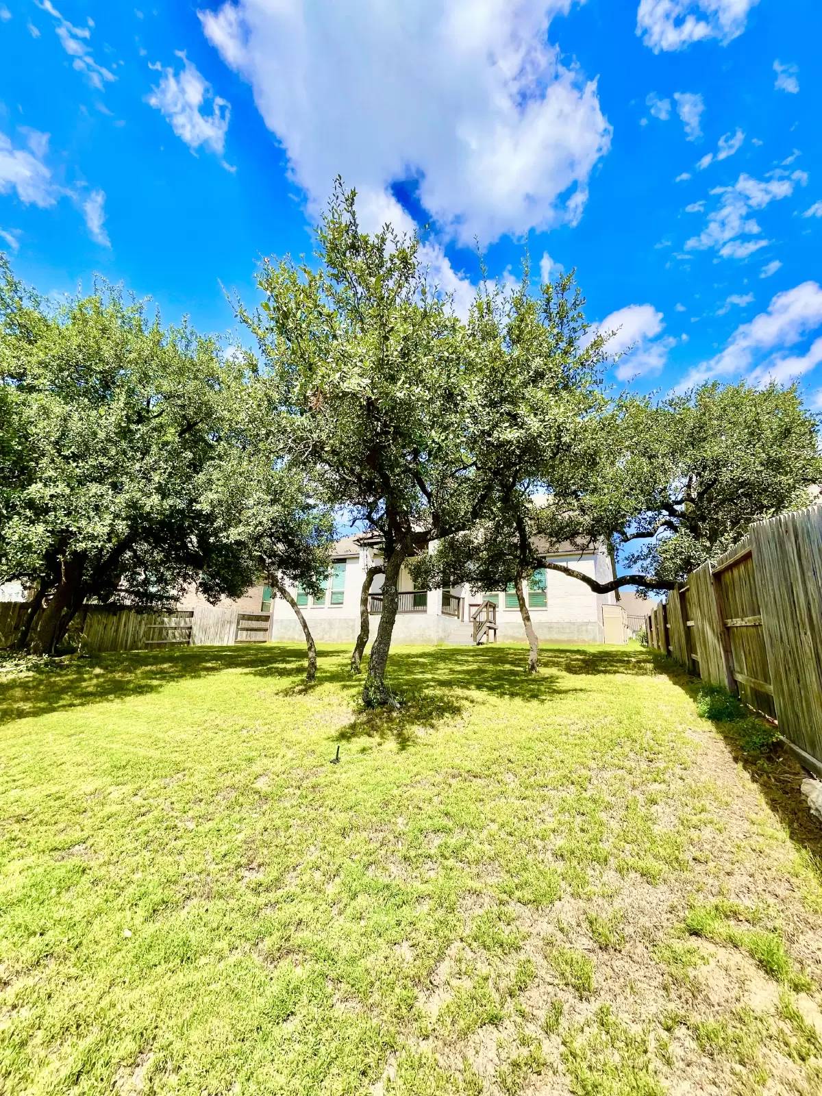 Property Image 69