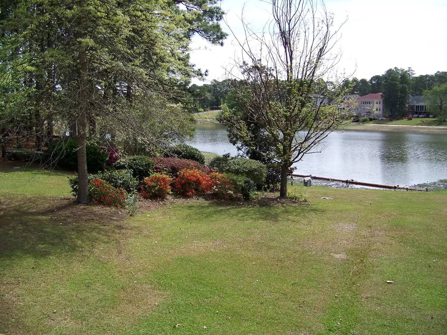 Property Image 57