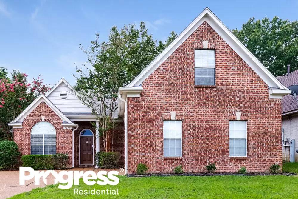 cover background