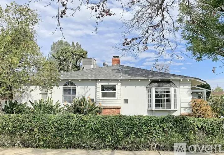 cover background