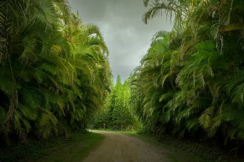 cover background