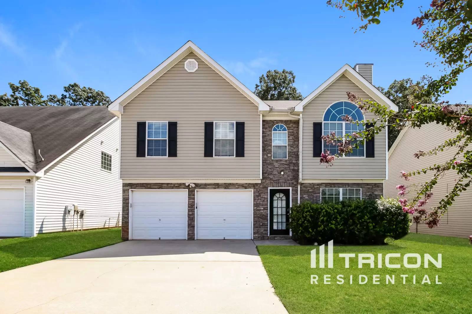 cover background