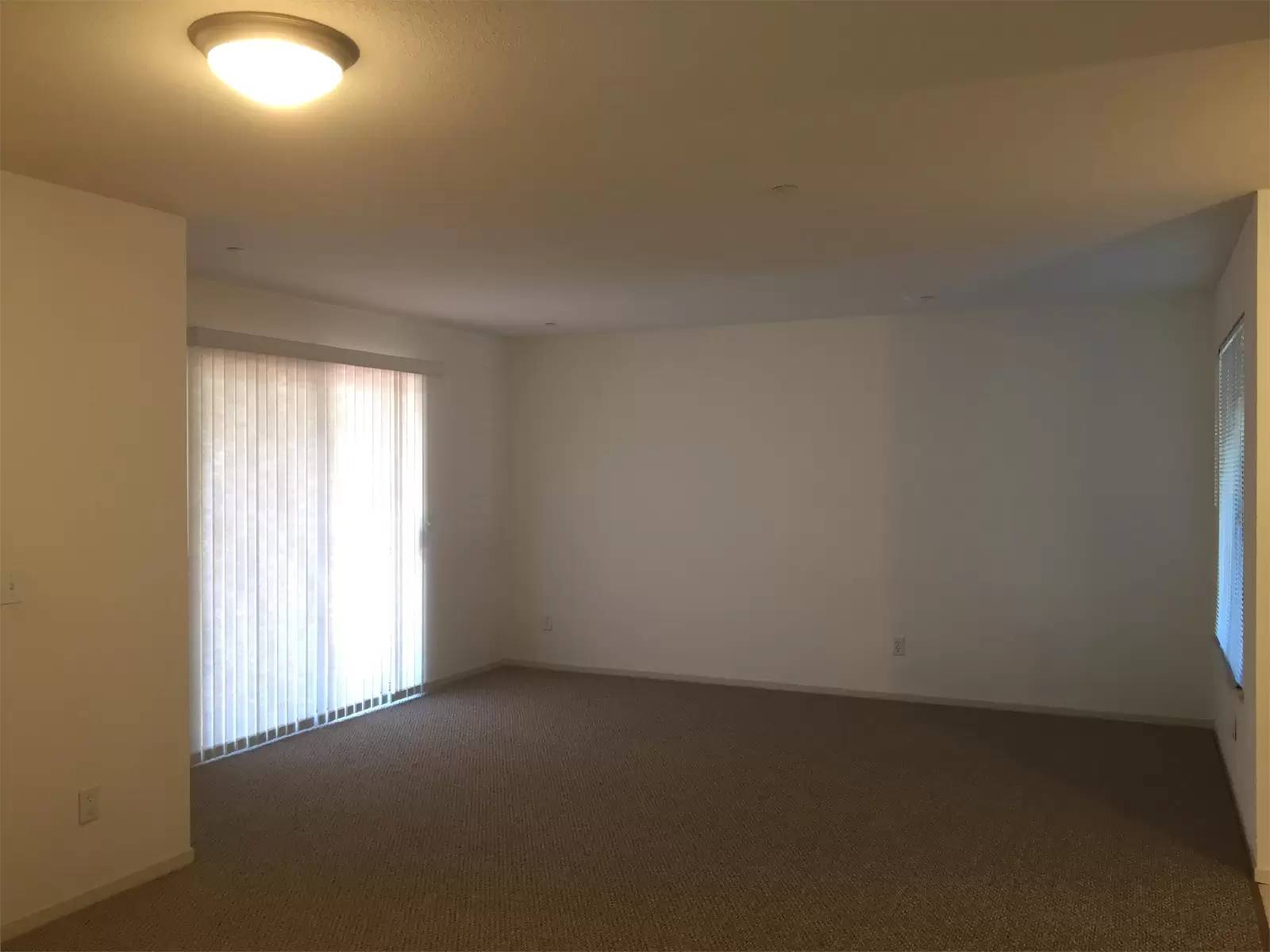 cover background