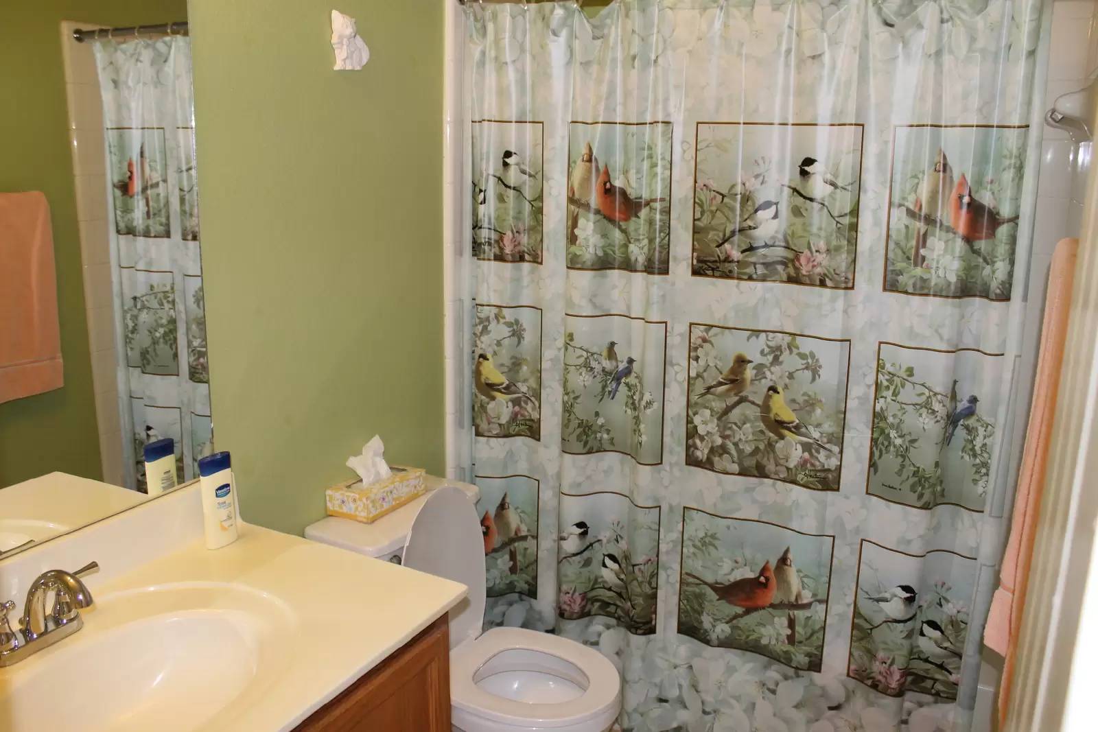 Property Image 16