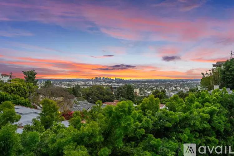 Property Image 63