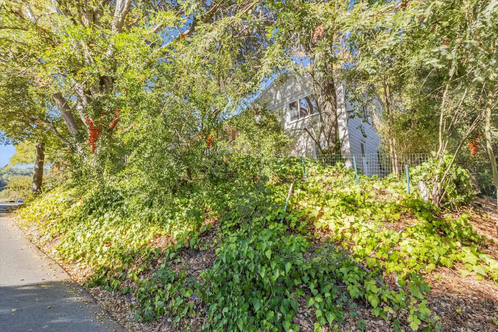 Property Image 33