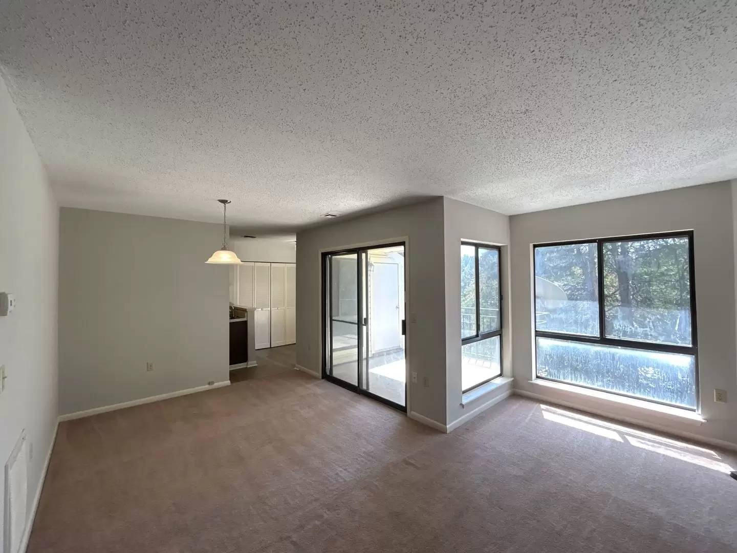 cover background