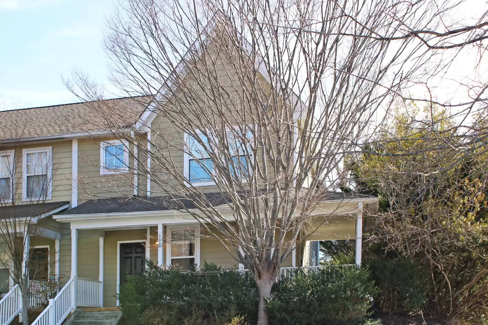 cover background