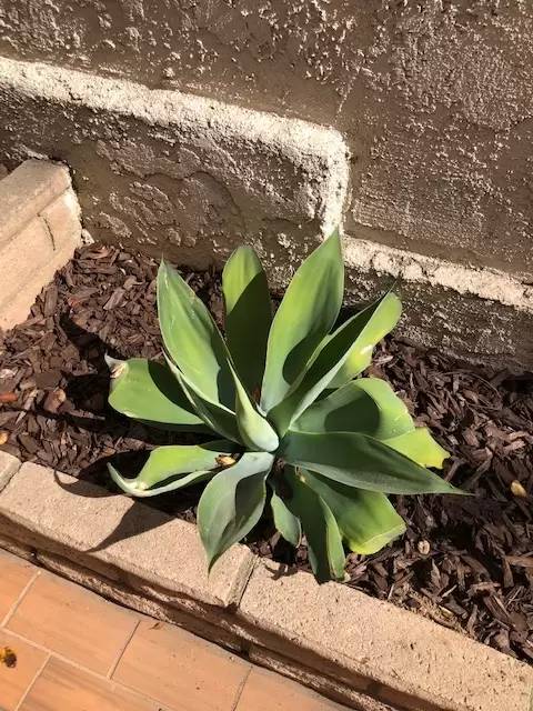 Property Image 65