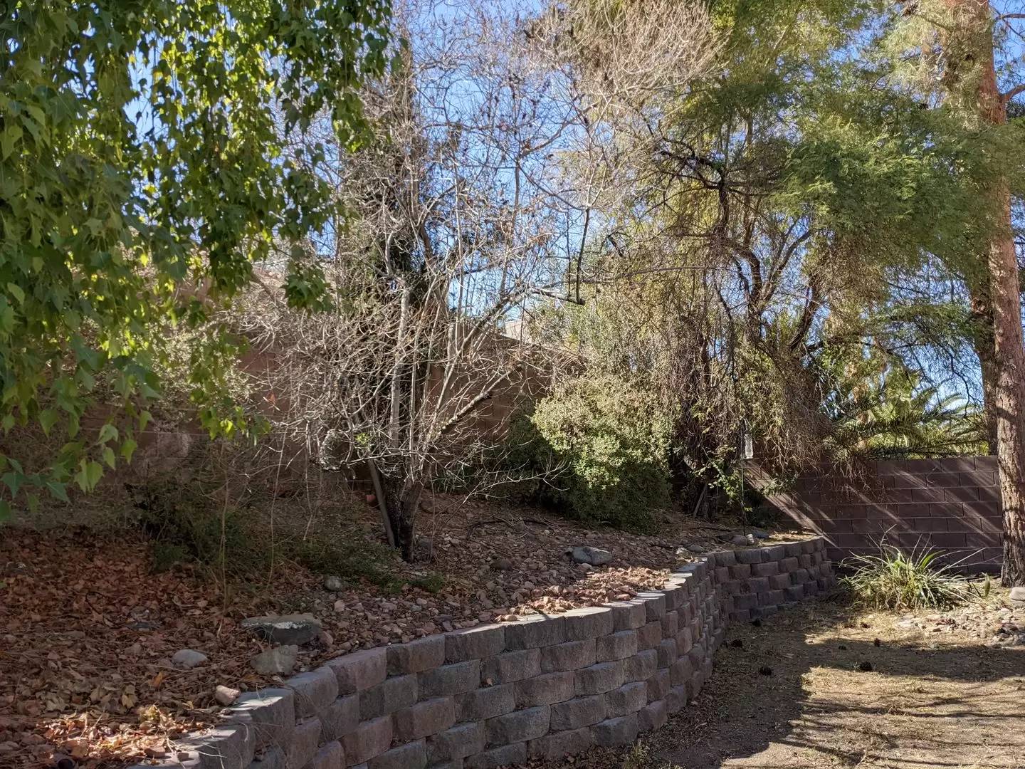 Property Image 40