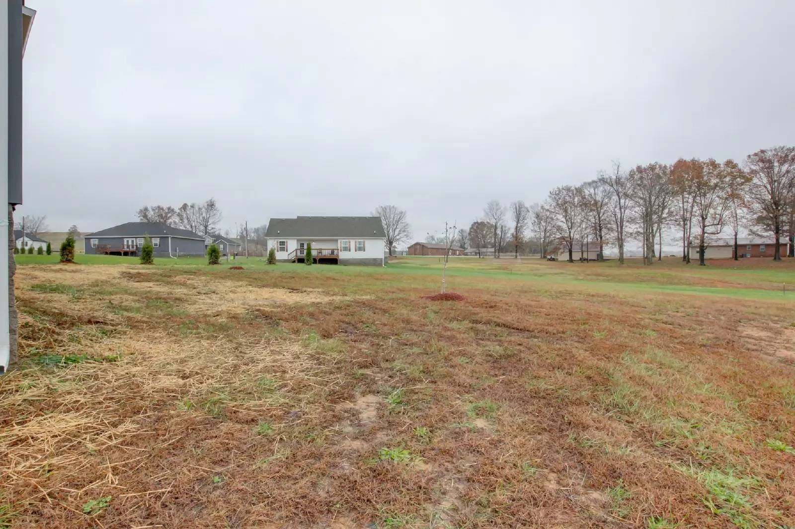Property Image 113