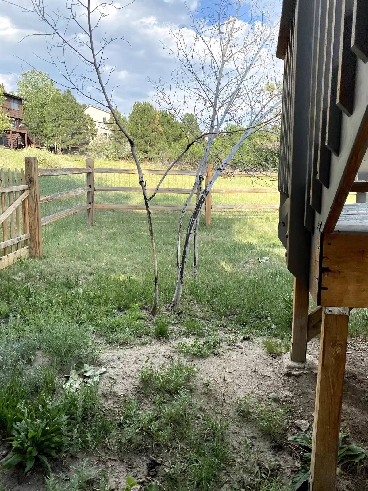 Property Image 67