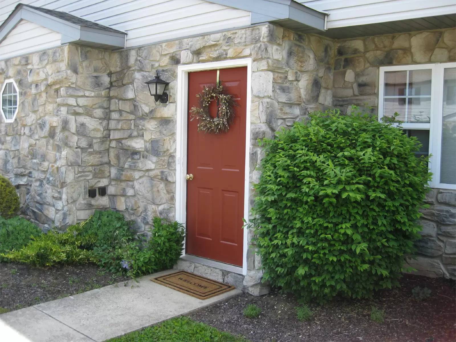 cover background