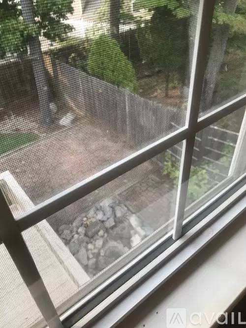 Property Image 142