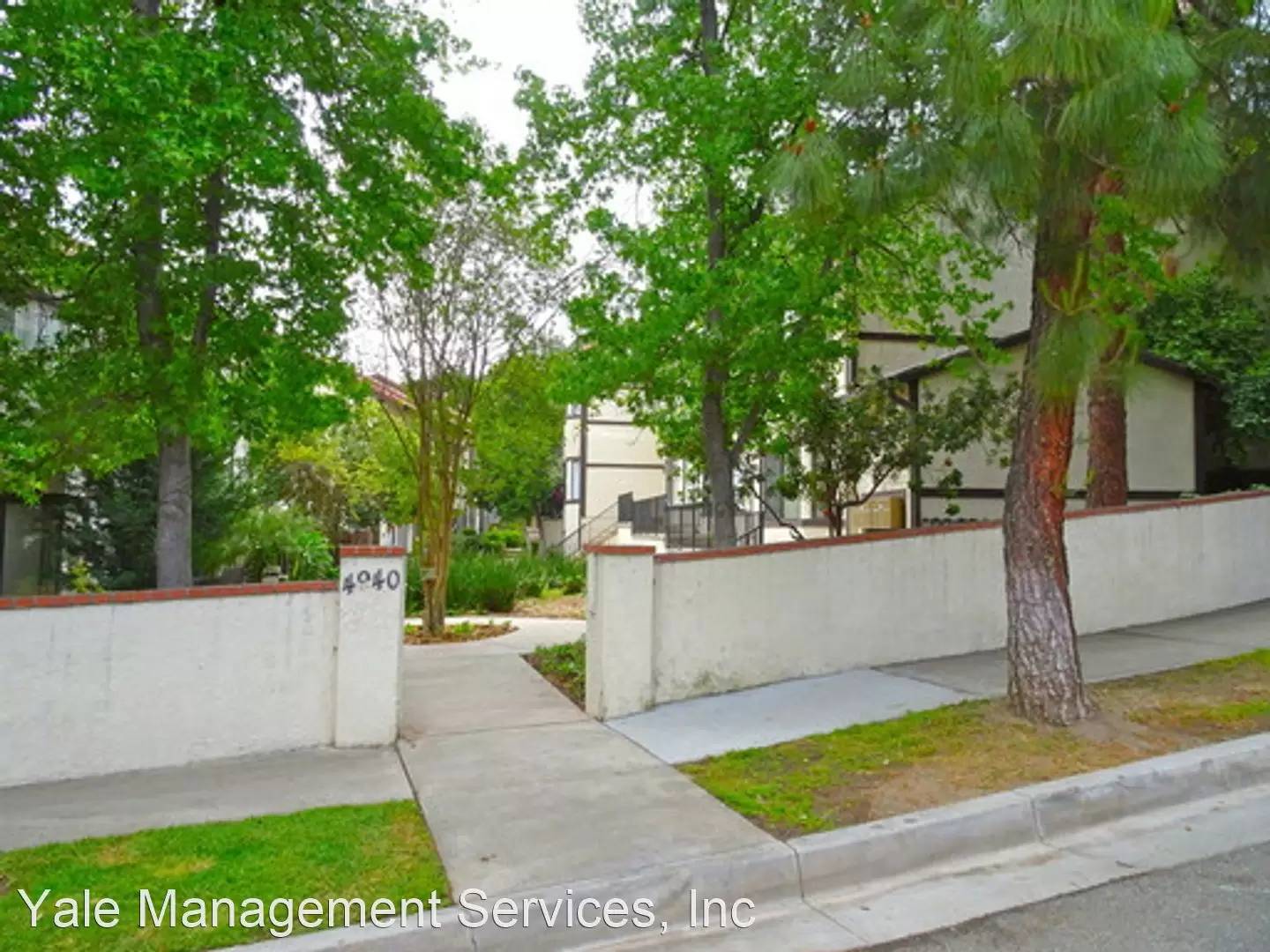 cover background