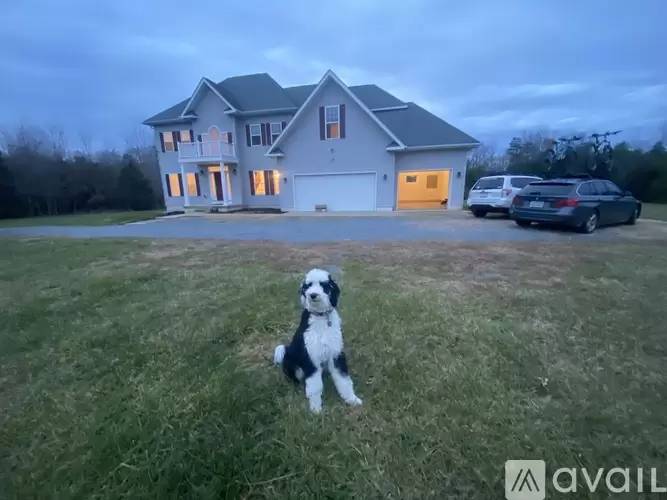 cover background