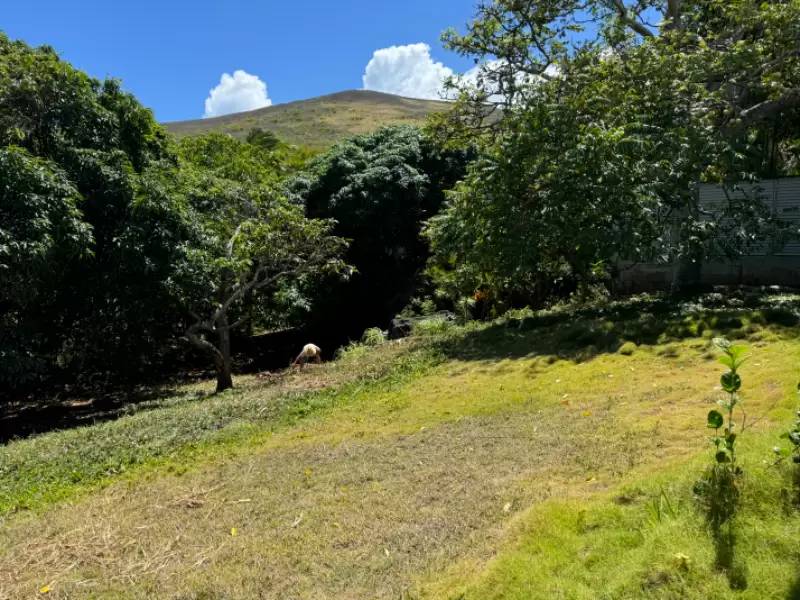 Property Image 18