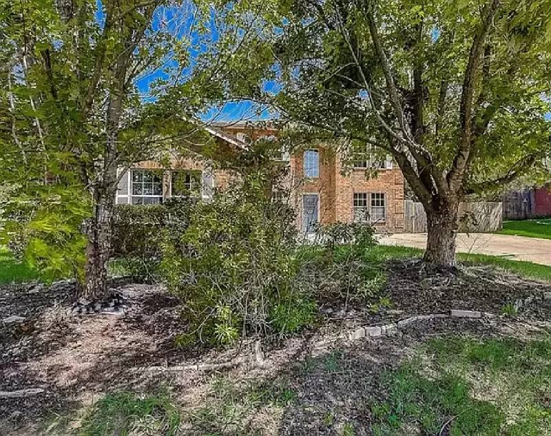Property Image 12