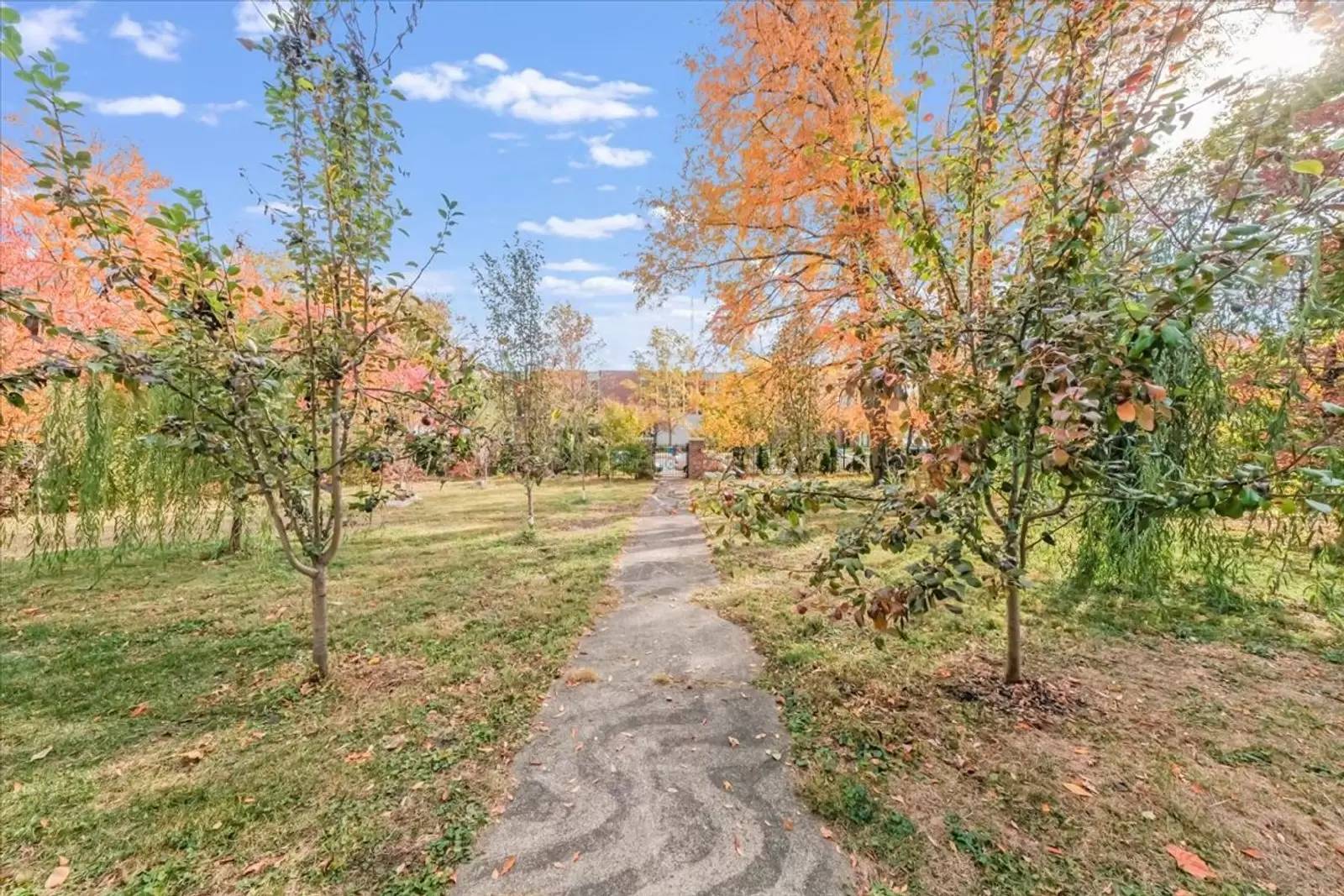 Property Image 73