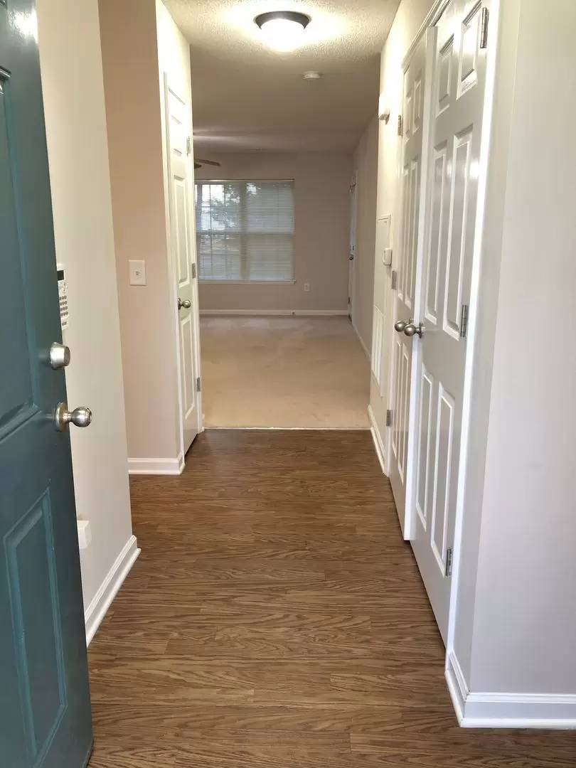 cover background