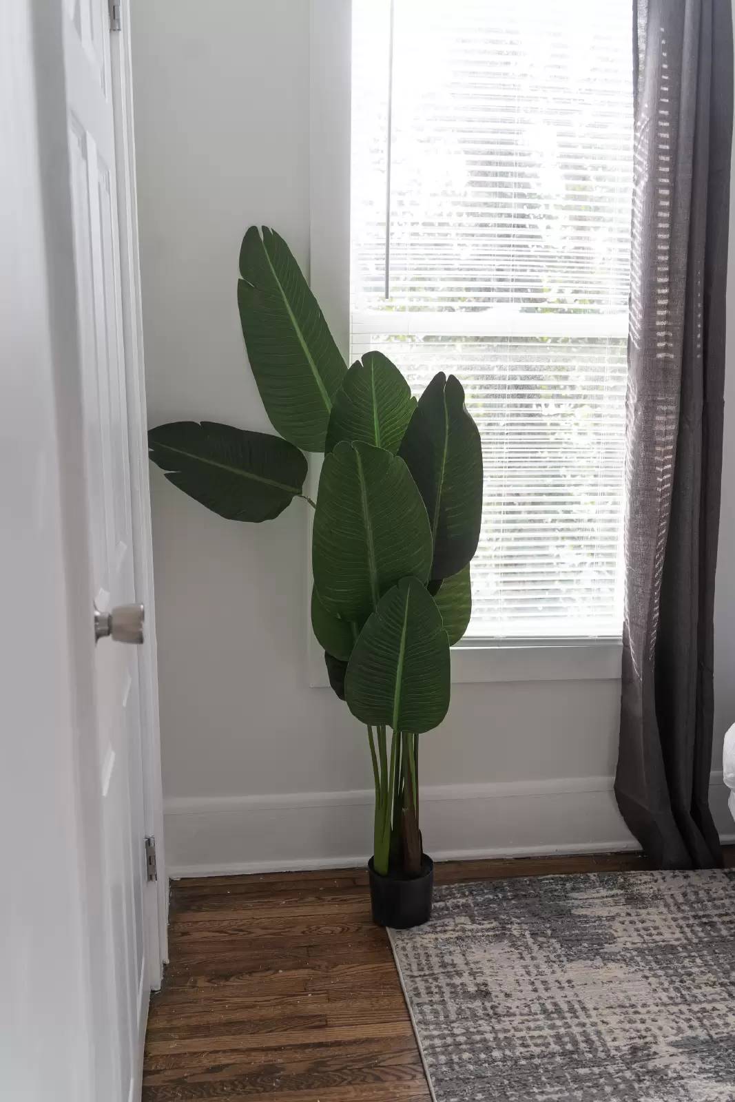 Property Image 125