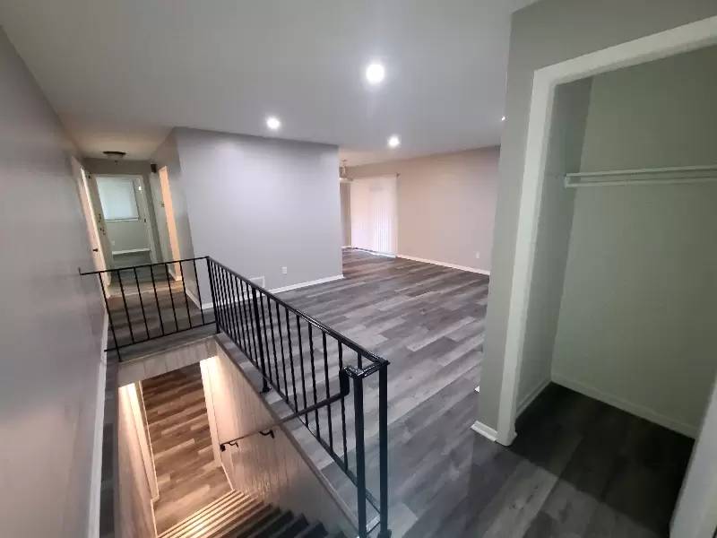 cover background