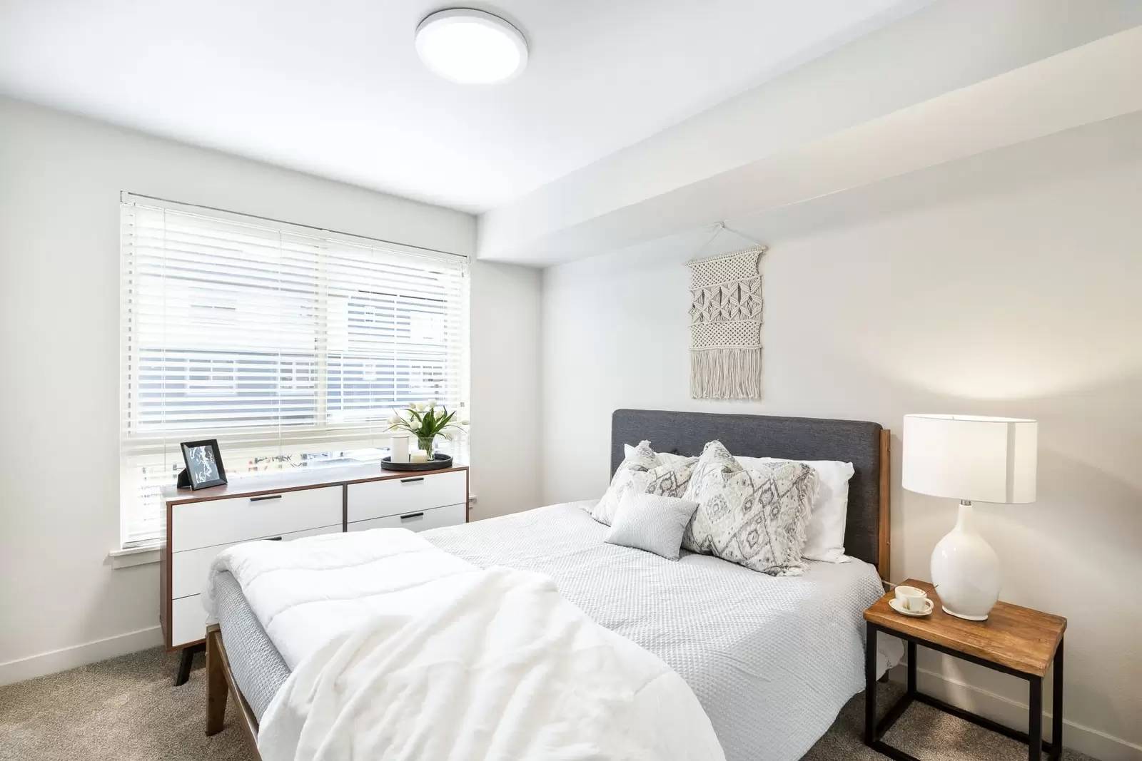 cover background