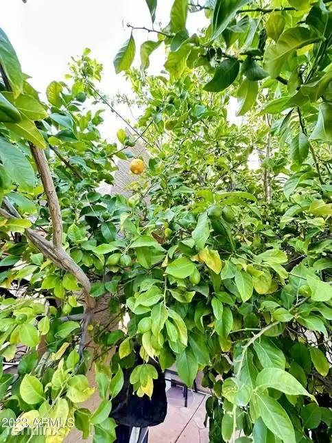 Property Image 69