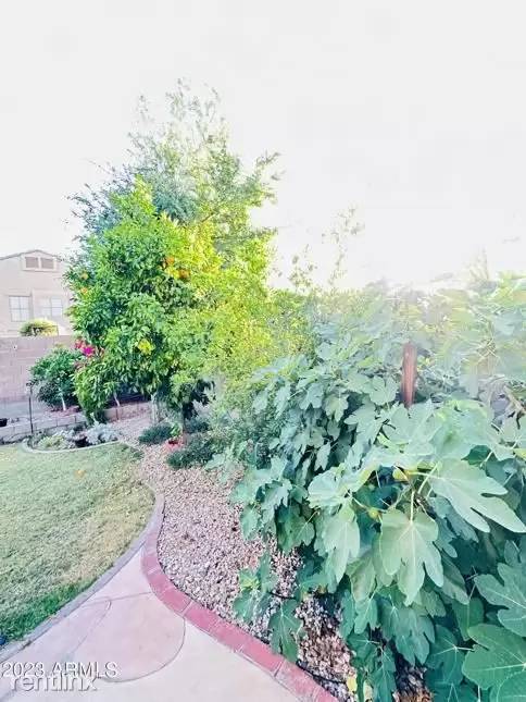 Property Image 56
